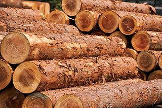 ウッドテクノス株式会社 | WOOD TECHNOS 製造画像