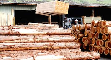 ウッドテクノス | WOOD TECHNOS Co.ltd