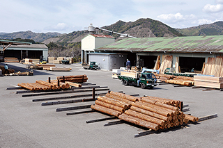 ウッドテクノス株式会社 双葉台工場（製材工場）